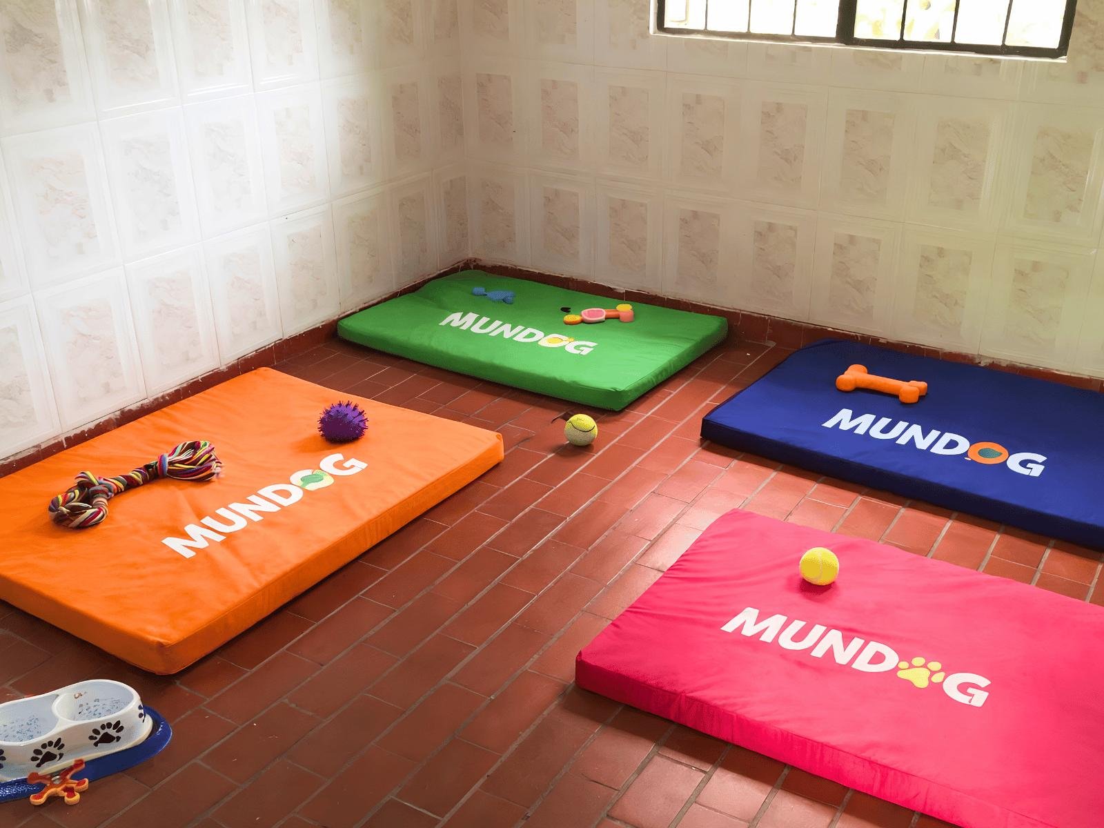 Colchonetas del hotel canino MUNDOG